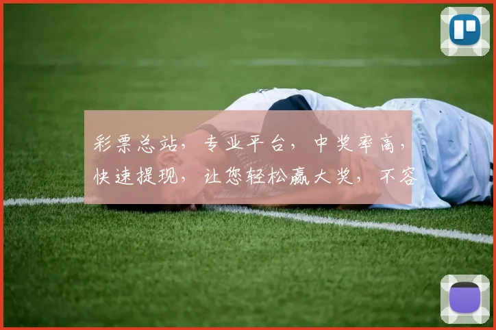 彩票总站，专业平台，中奖率高，快速提现，让您轻松赢大奖，不容错过