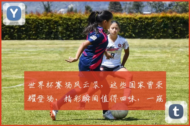 世界杯赛场风云录，这些国家曾荣耀登场，精彩瞬间值得回味，一窥究竟
