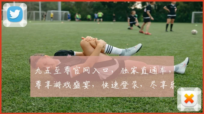 九五至尊官网入口，独家直通车，尊享游戏盛宴，快速登录，尽享乐趣，体验非凡